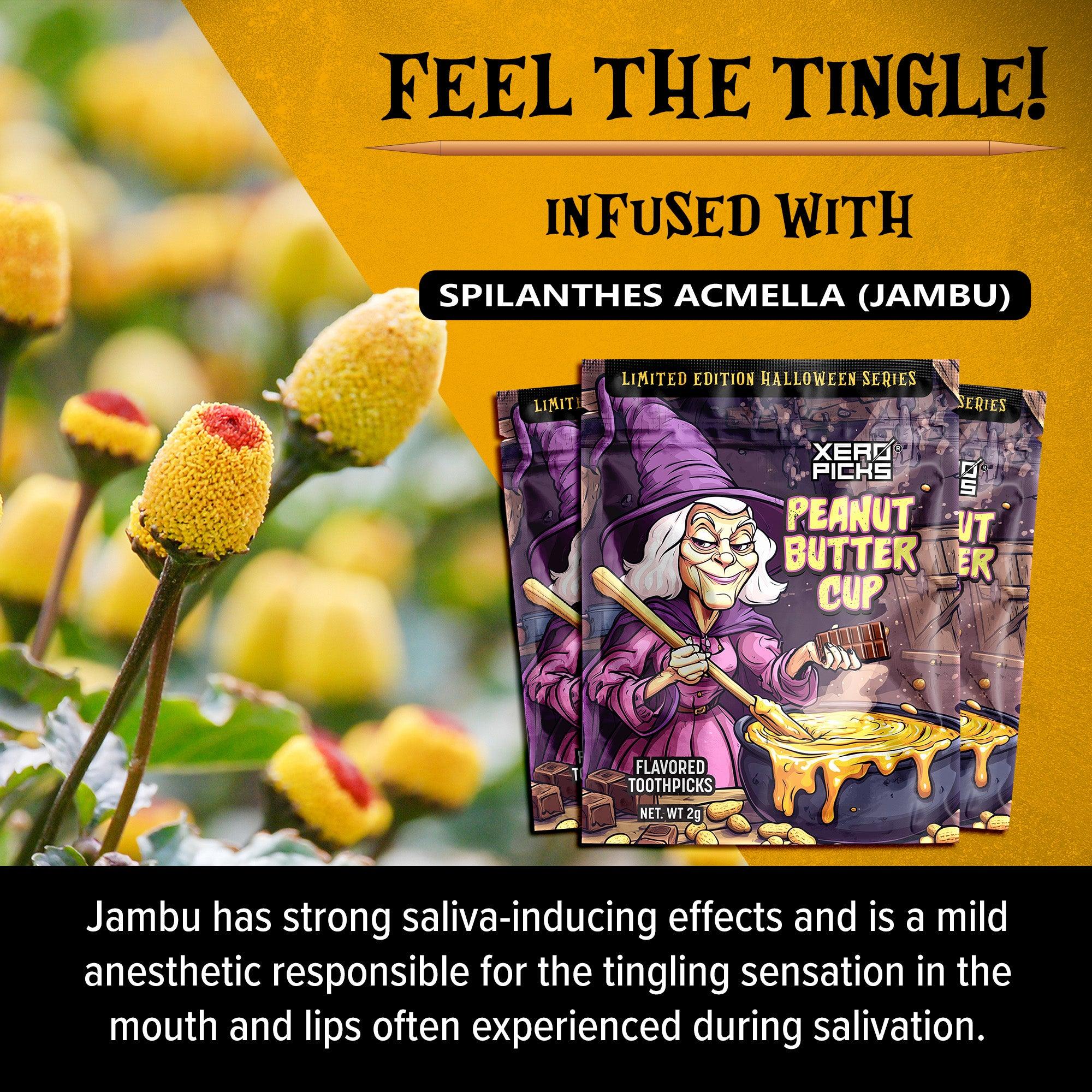 Holiday Halloween Peanut Butter Cup 10 pack