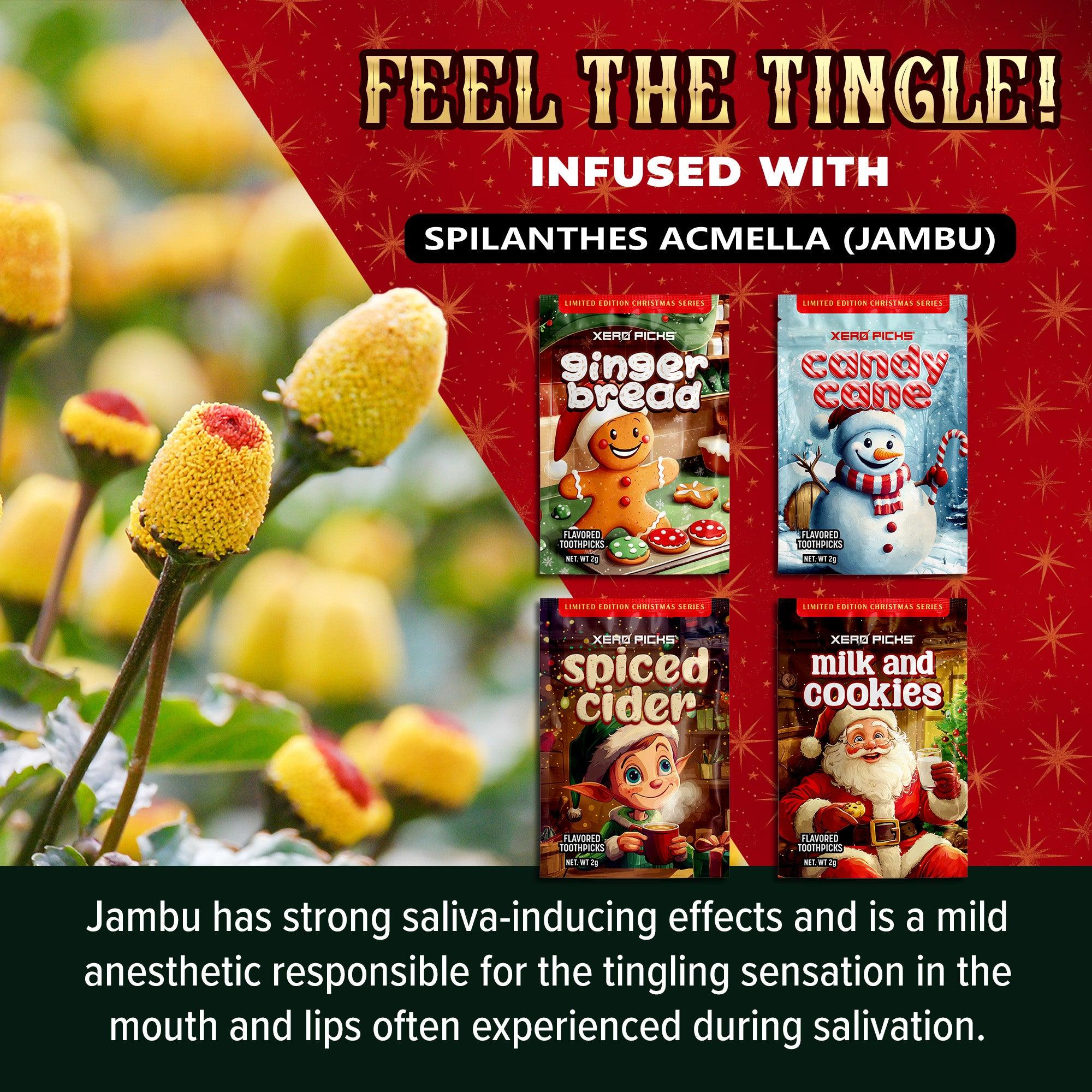 Holiday Christmas Spiced Cider 10 Pack