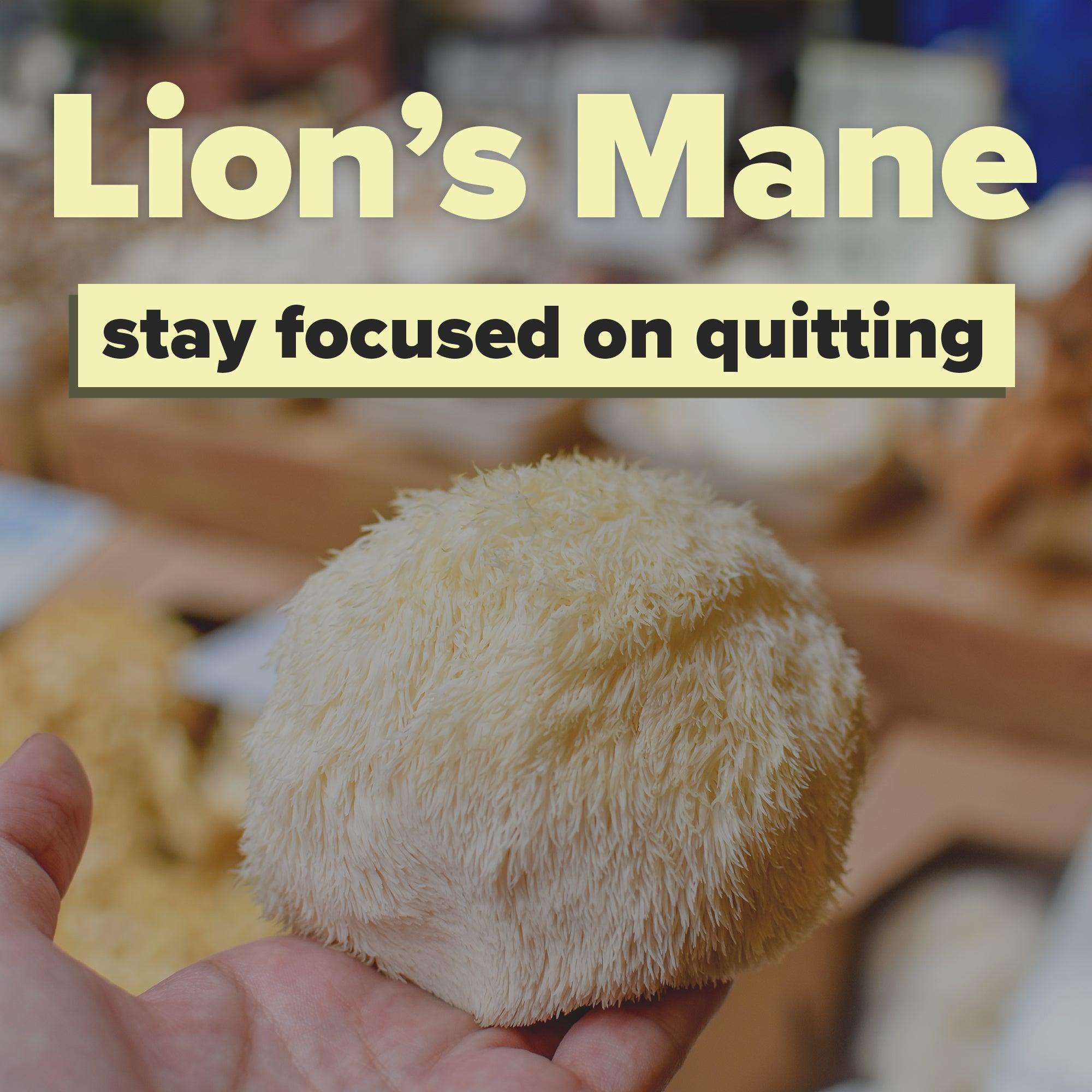 Habit Change Kit - Nicotine Free Replacement Therapy - HEAVY