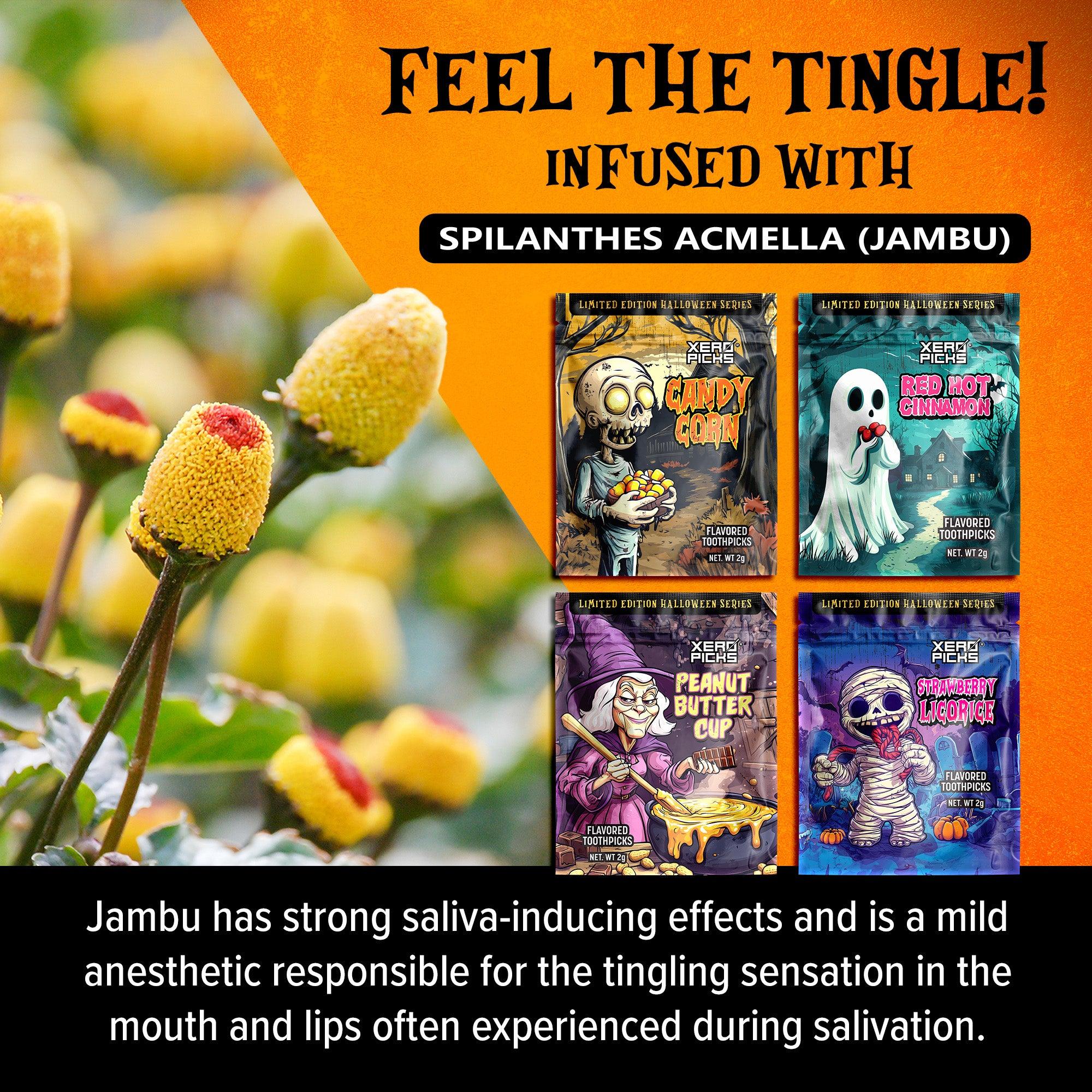 Holiday Halloween Variety 12 Pack