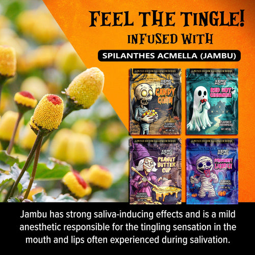 Holiday Halloween Variety 12 Pack