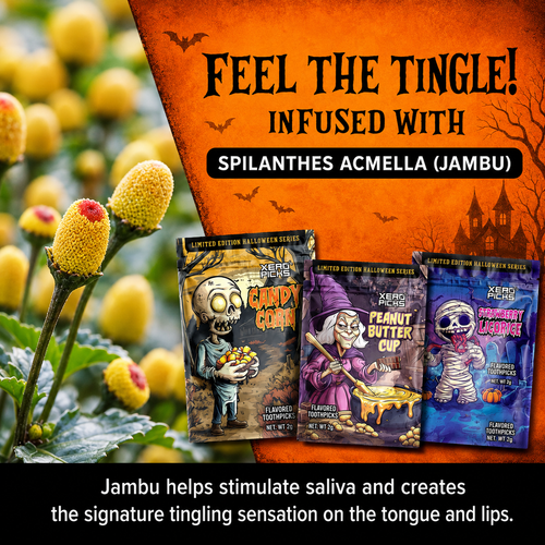 Holiday Halloween Variety 12 Pack