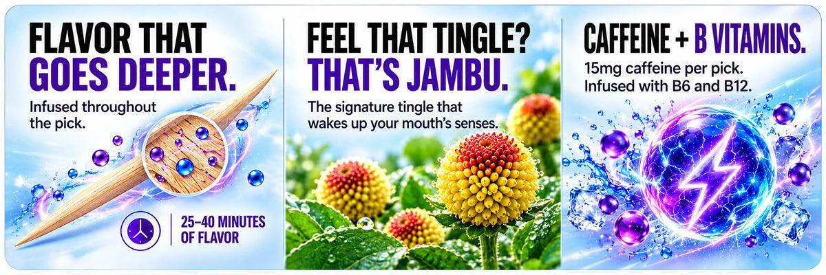 Energy: flavor infused throughout the pick, 25–40 minutes of flavor. Jambu: the signature tingle that wakes up your mouth’s senses. CAFFEINE + B VITAMINS. 15mg caffeine per pick. Infused with B6 and B12.