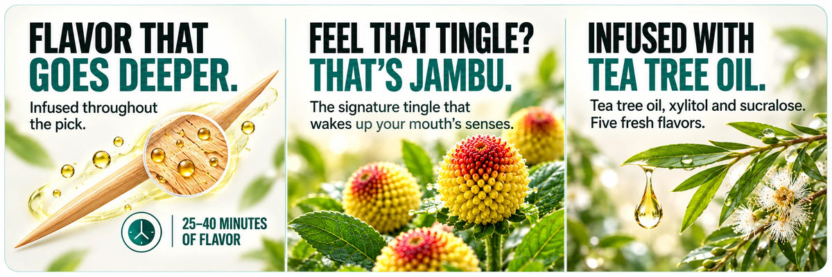 Tea Tree: flavor infused throughout the pick, 25–40 minutes of flavor. Jambu: the signature tingle that wakes up your mouth’s senses. INFUSED WITH TEA TREE OIL. Tea tree oil, xylitol and sucralose. Five fresh flavors.